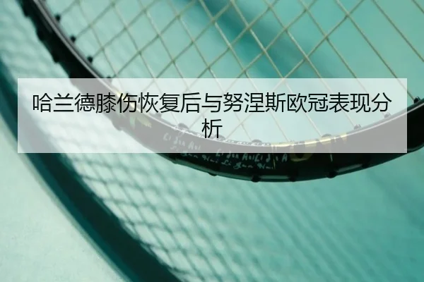 哈兰德膝伤恢复后与努涅斯欧冠表现分析